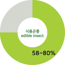 식용곤충  edible insect  58~80%